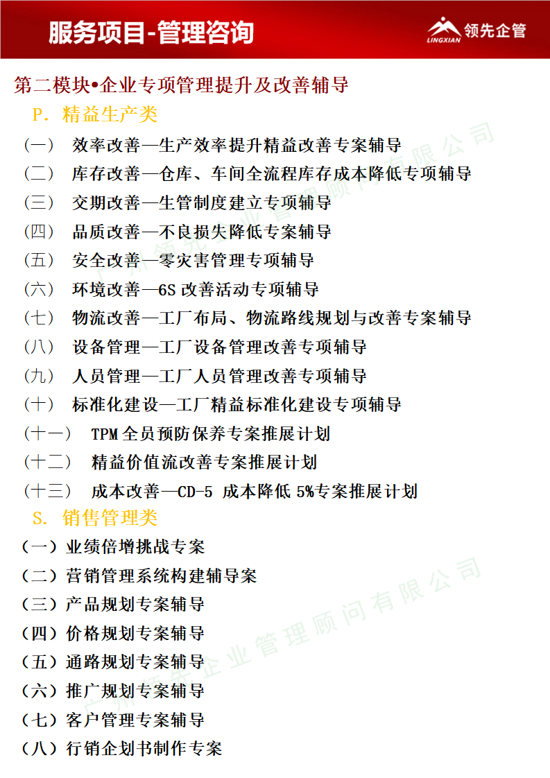 业务及服务-管理咨询-企业专项管理提升_01.png
